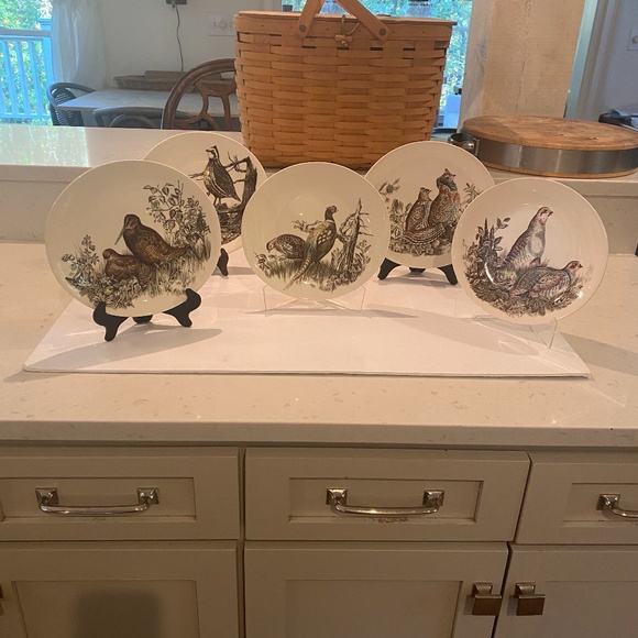 Johnson Brothers Other - Johnson Brothers transferwere Game Birds oval plates. Set of 5